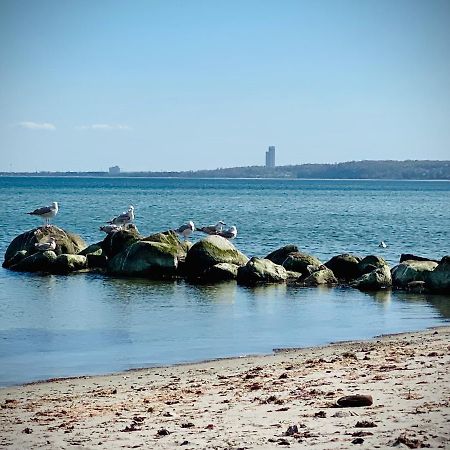 Fewo Sonnendeck Familien-Strandnah-Garten-Hunde-Sport-Und Schwimmbadnah-Hansapark Sierksdorf Buitenkant foto