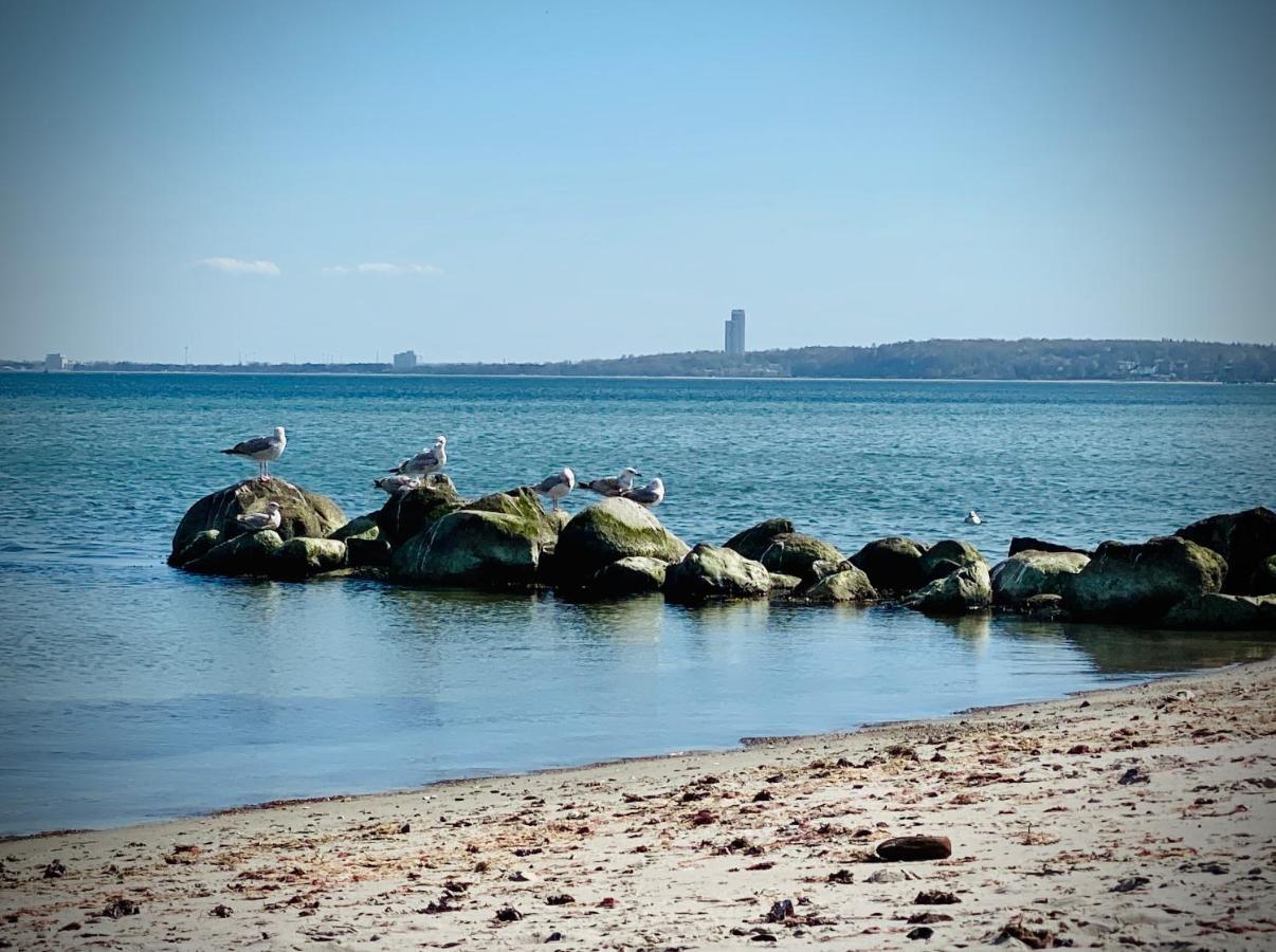 Fewo Sonnendeck Familien-Strandnah-Garten-Hunde-Sport-Und Schwimmbadnah-Hansapark Sierksdorf Buitenkant foto